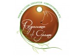 Royaume de Géane Royaume de Géane