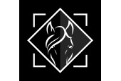 Horse Rider Horse Rider